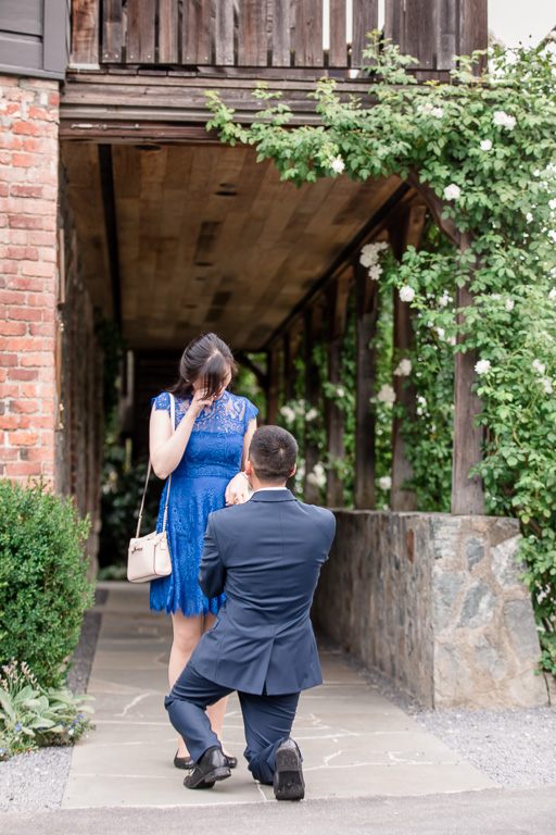 surprise proposal in front of the french laundry arch walkway
