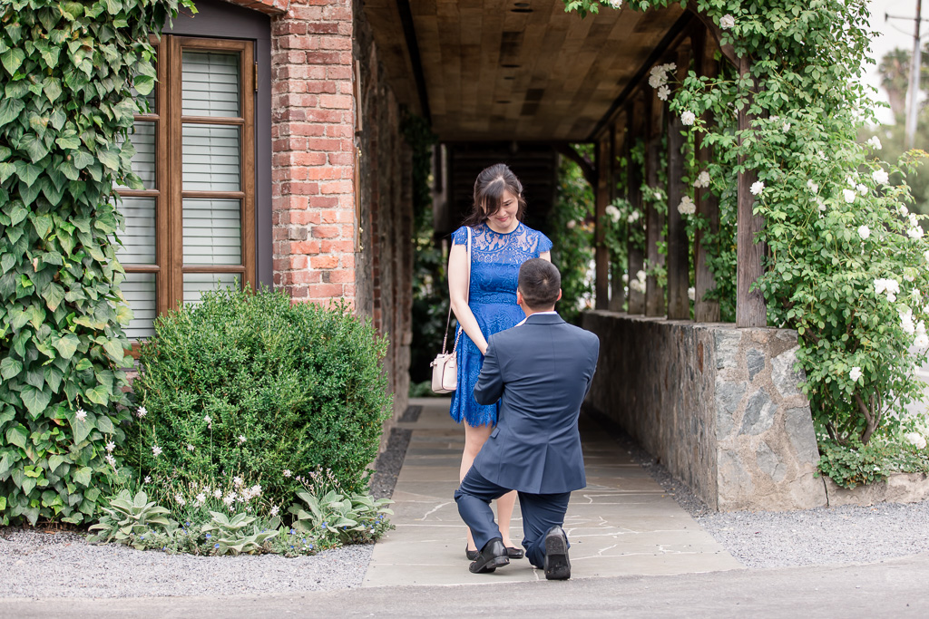 surprise engagement at the french laundry