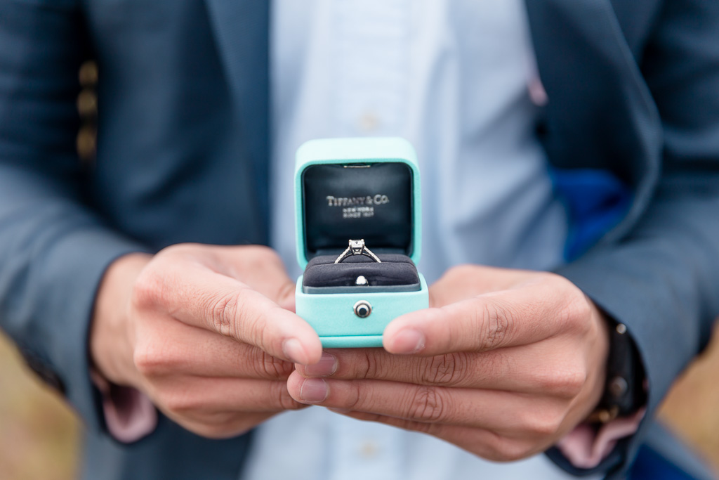 thoughtful proposal plan with a gorgeous tiffany diamond ring