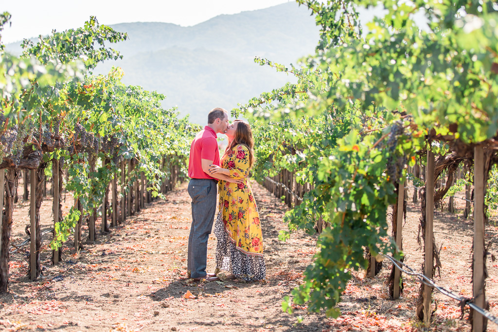 Peju vineyard surprise proposal