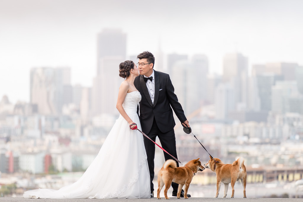 San Francisco wedding photo with puppies 浪漫三藩市婚纱照