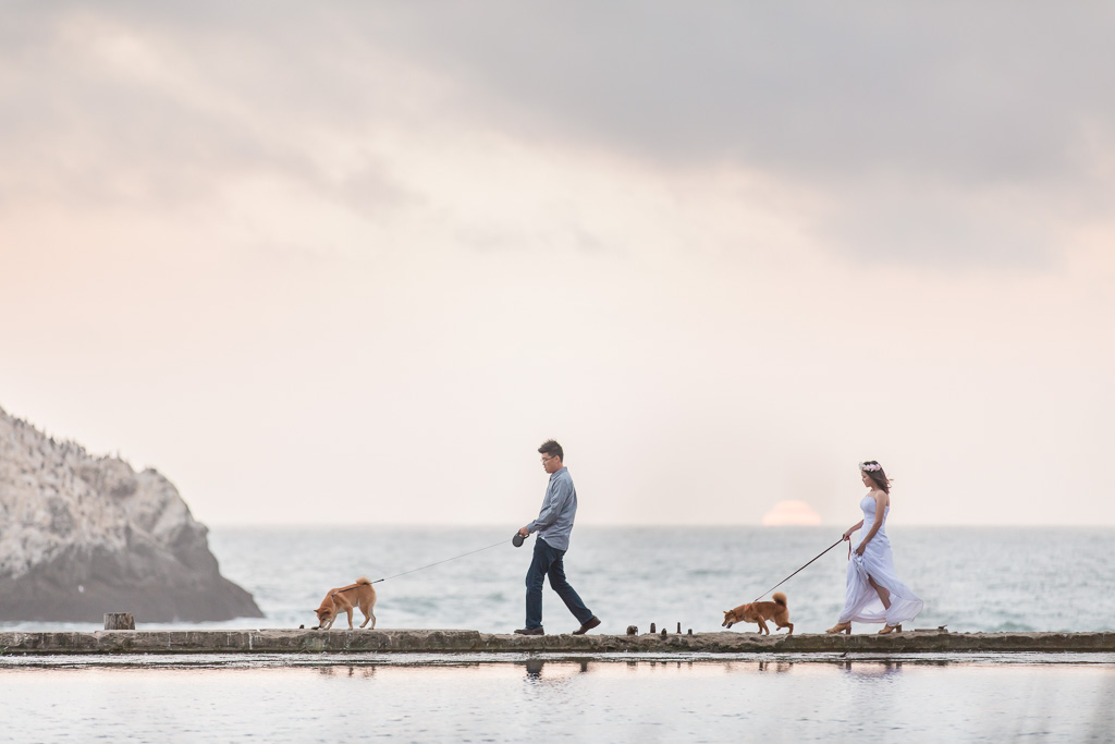 san francisco engagement photo with beloved dogs walking along the water