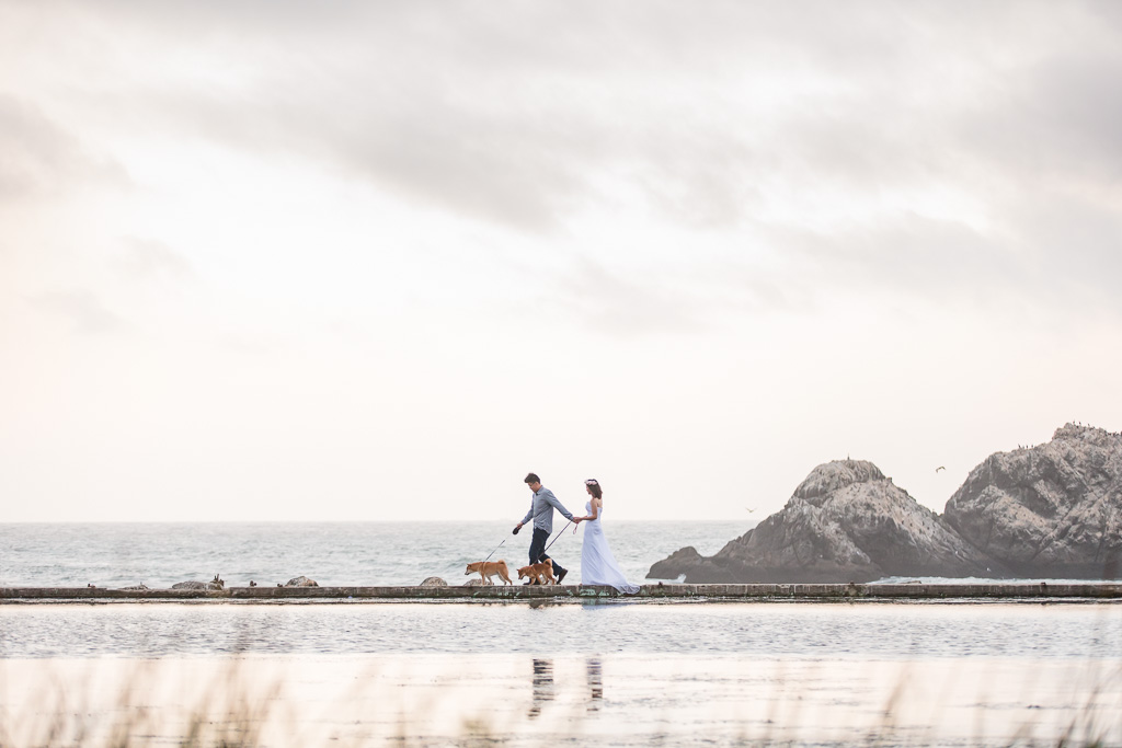 sutro baths engagement photo with dogs
