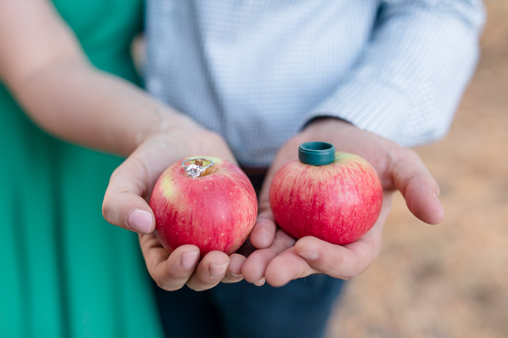 engagement rings on apples from their own backyard