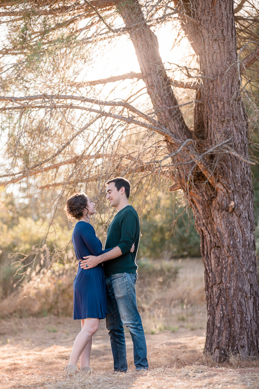 Sonoma county private backyard engagement picture