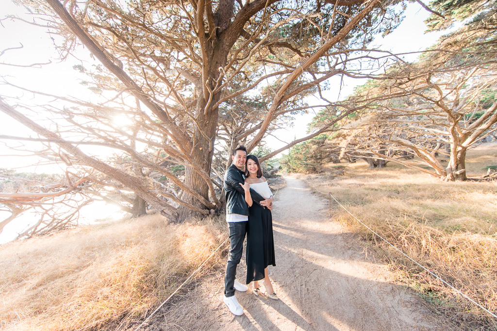 point lobos cypress grove engagement photo