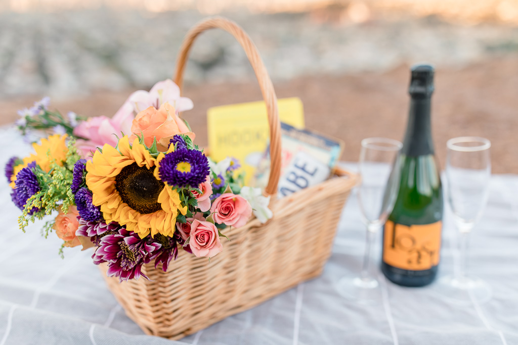 cute picnic basket with books and champagne
