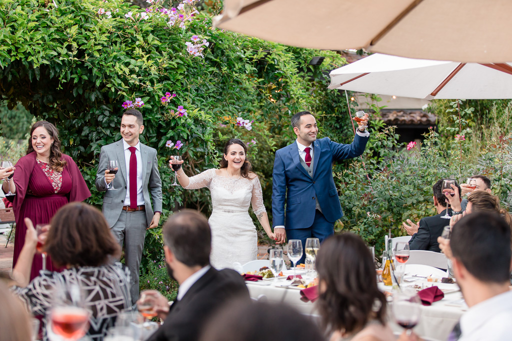 bride and groom toast with wedding guests