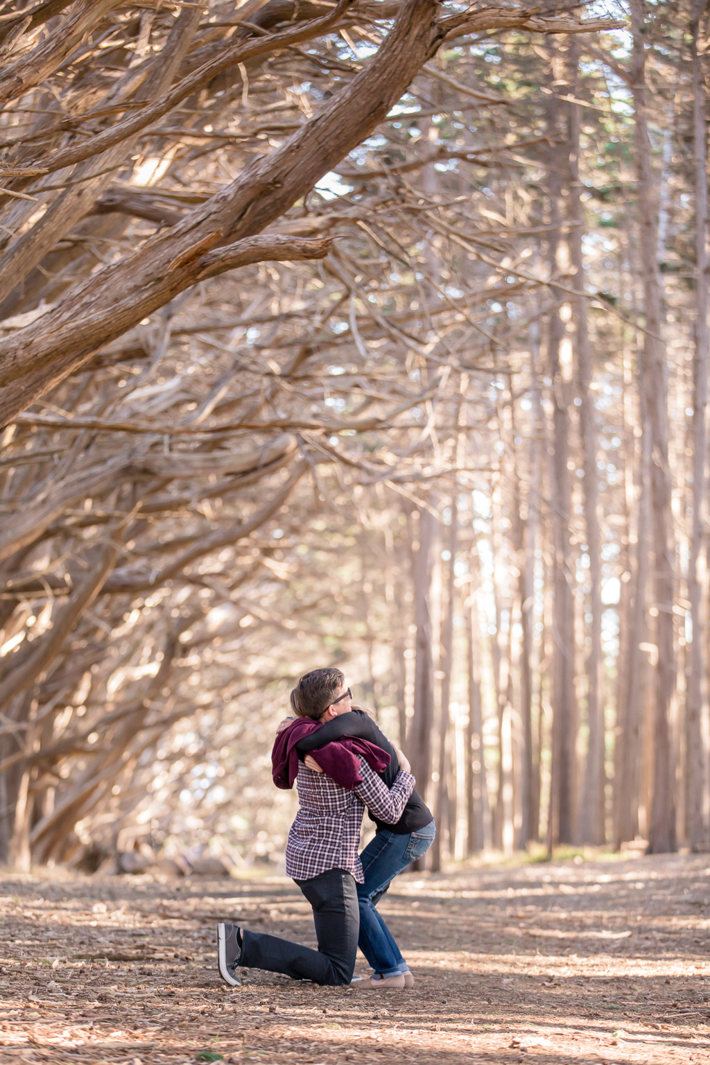 half moon bay cypress tree forest surprise engagement