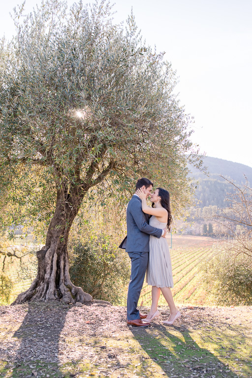goegrous couple photo under a tree in Napa Valley