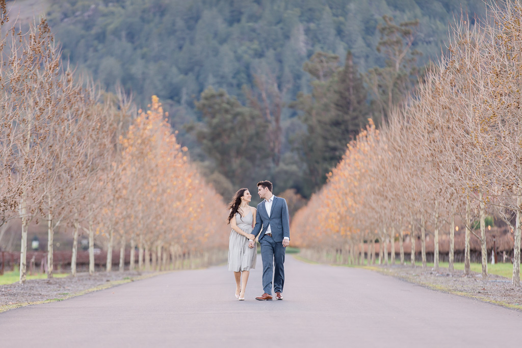 Napa engagement photo with beautiful fall colors