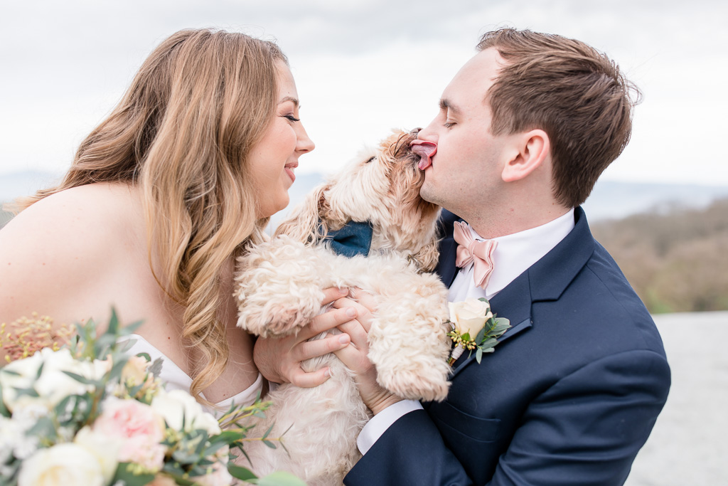 bride and groom plus their dog make the most perfect family picture