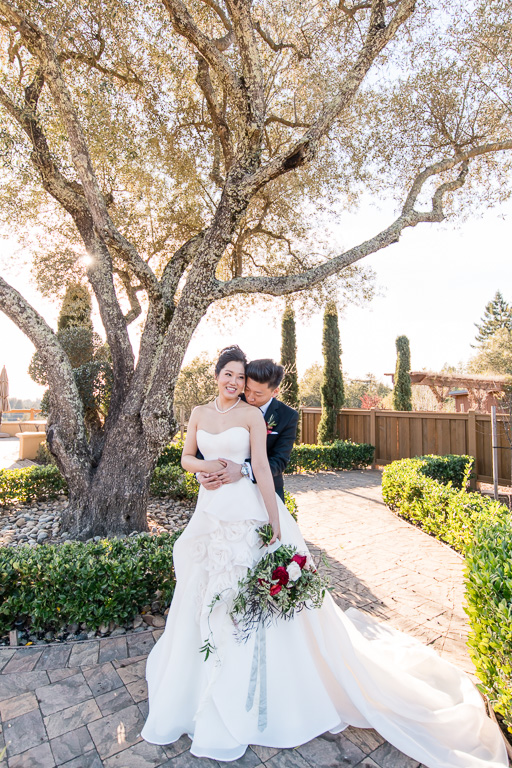regale winery wedding portrait by the big olive tree