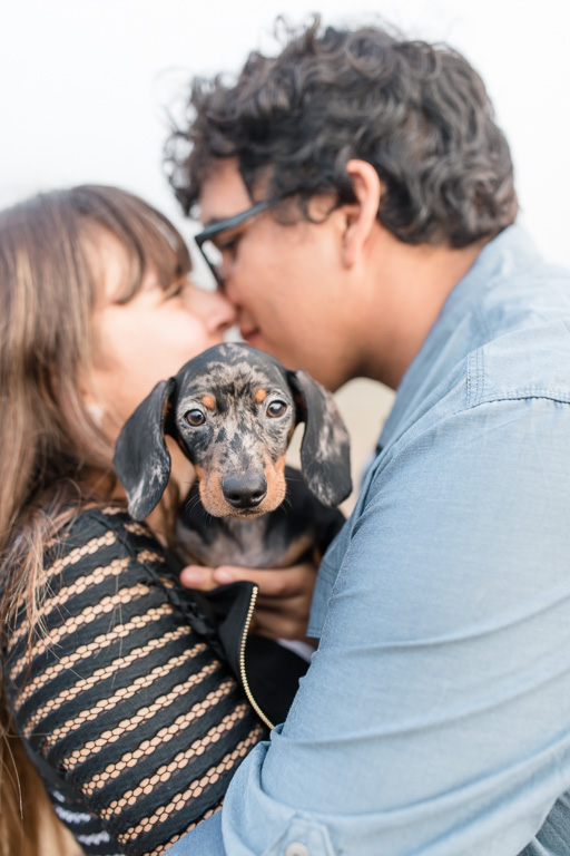 carmel wedding photographer engagement session with a cute puppy