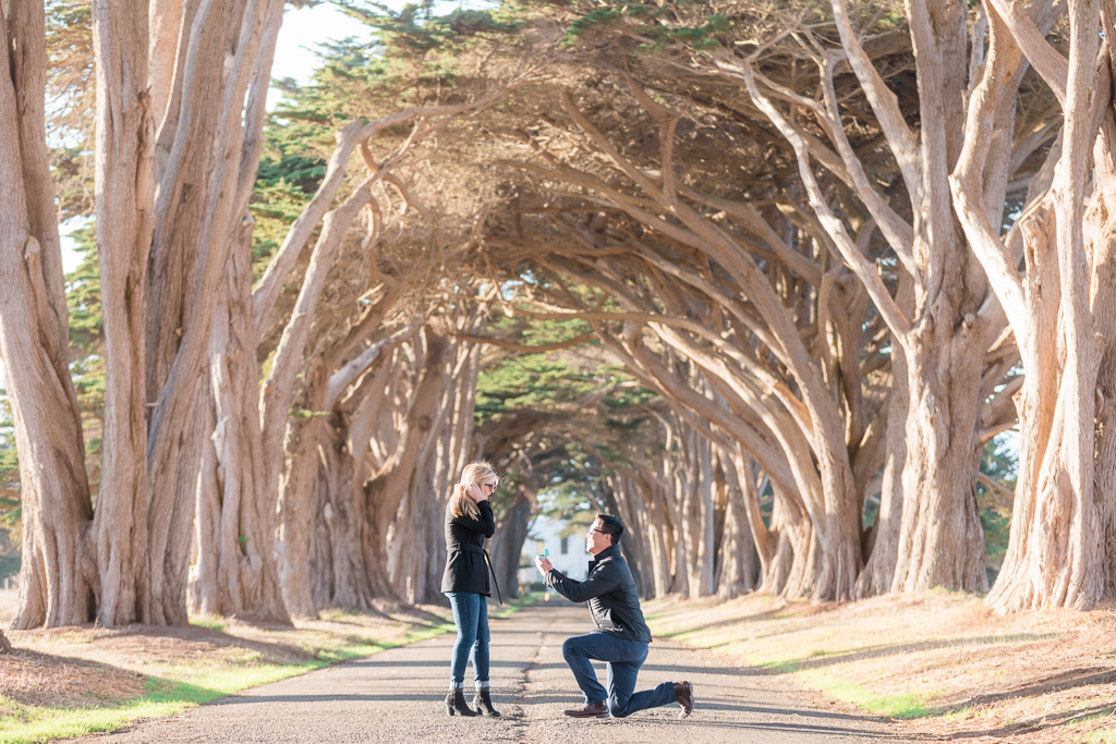 Point Reyes Cypress Tree Tunnel surprise marriage proposal