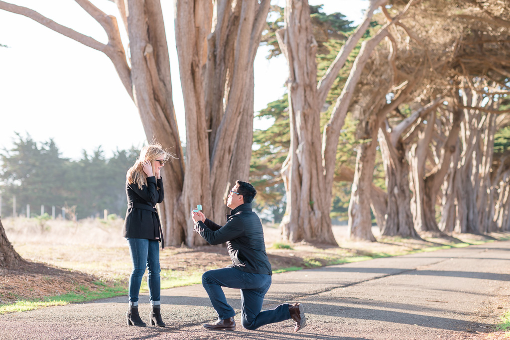 Cypress Tree Tunnel surprise engagement