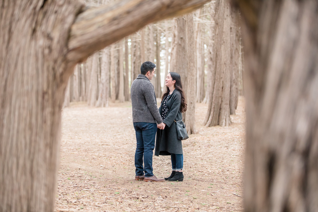 Bay area surprise proposal in the woods