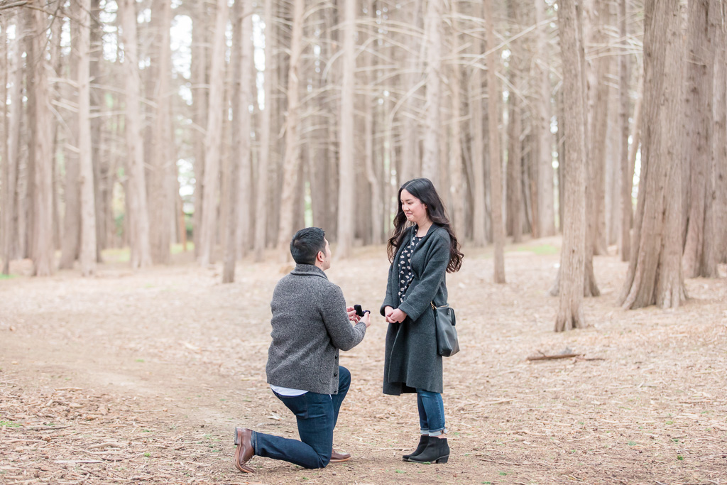 a surprise proposal in a whimsical forest