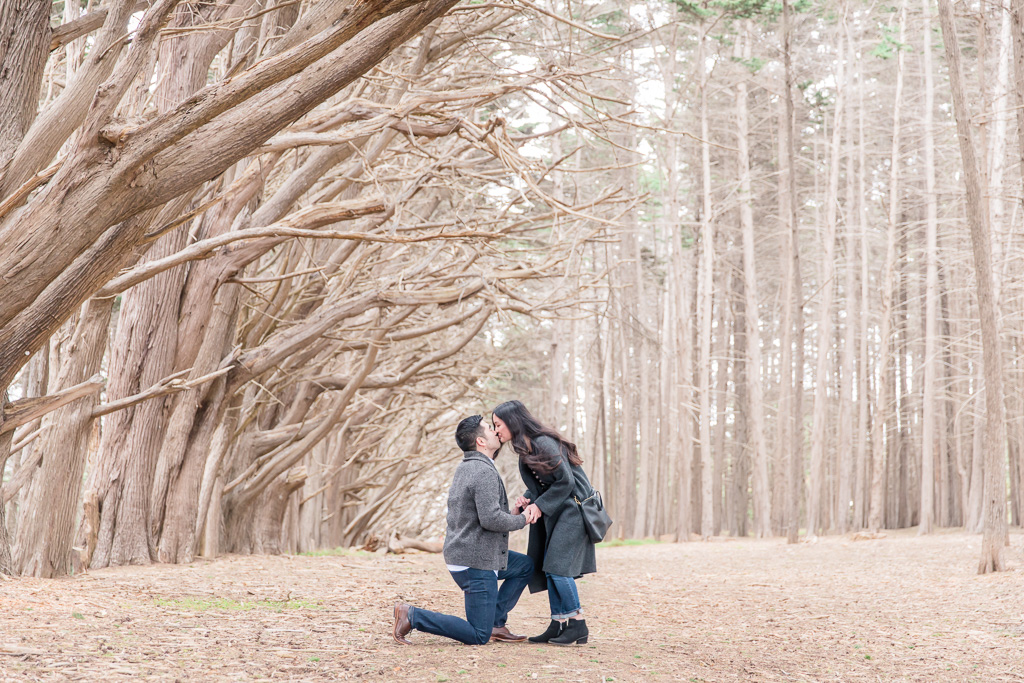 surprise engagement proposal in Half Moon Bay enchanted cypress tree forest