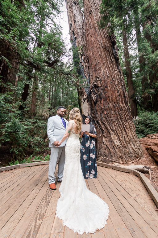 muir woods private wedding ceremony