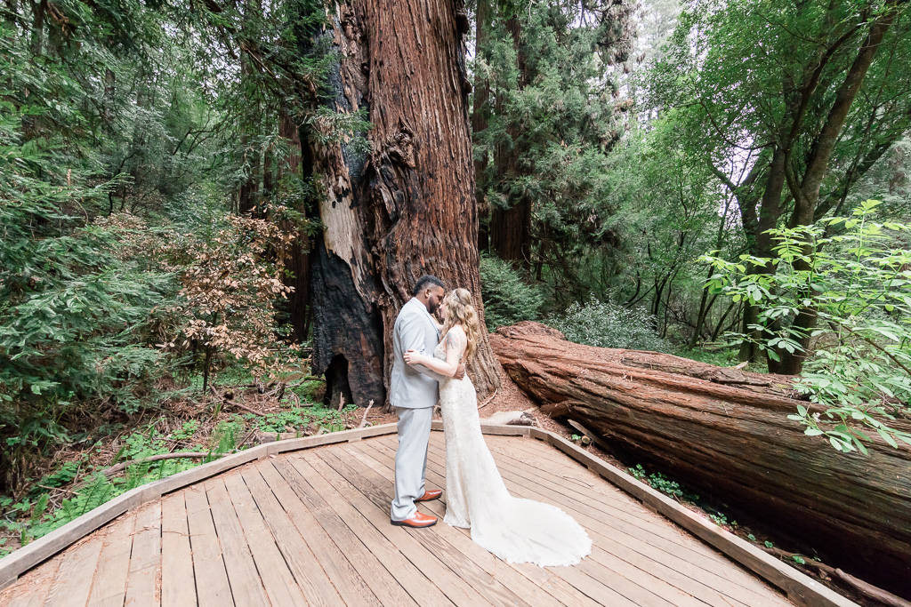 elopement in the California redwood forest