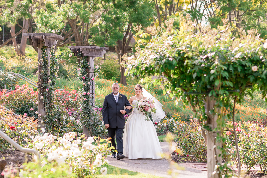 Bride's grand entrance - wedding at The Gardens at Heather Farm