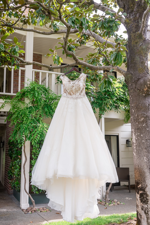 dress hanging in trees at Silverado Resort and Spa
