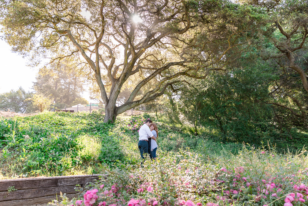 Berkeley engagement photo session under a big tree