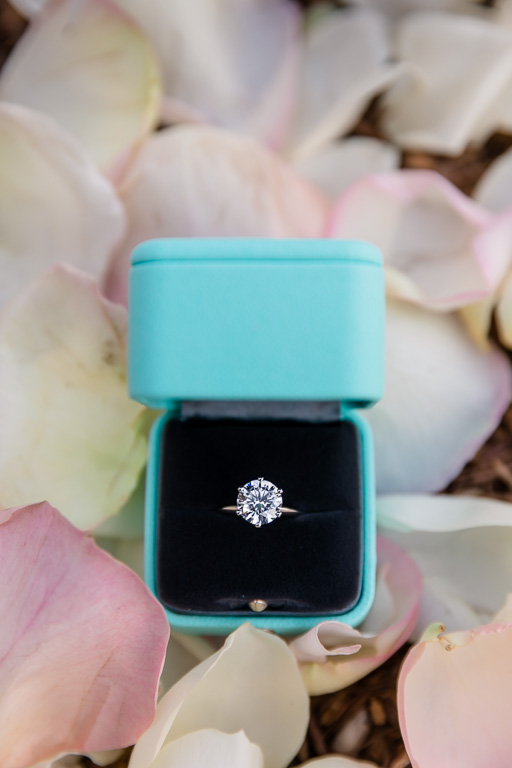 breathtaking tiffany diamond engagement ring for a surprise proposal