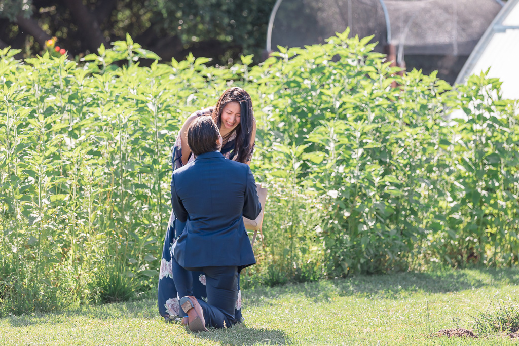 surprise engagement proposal at the French Laundry