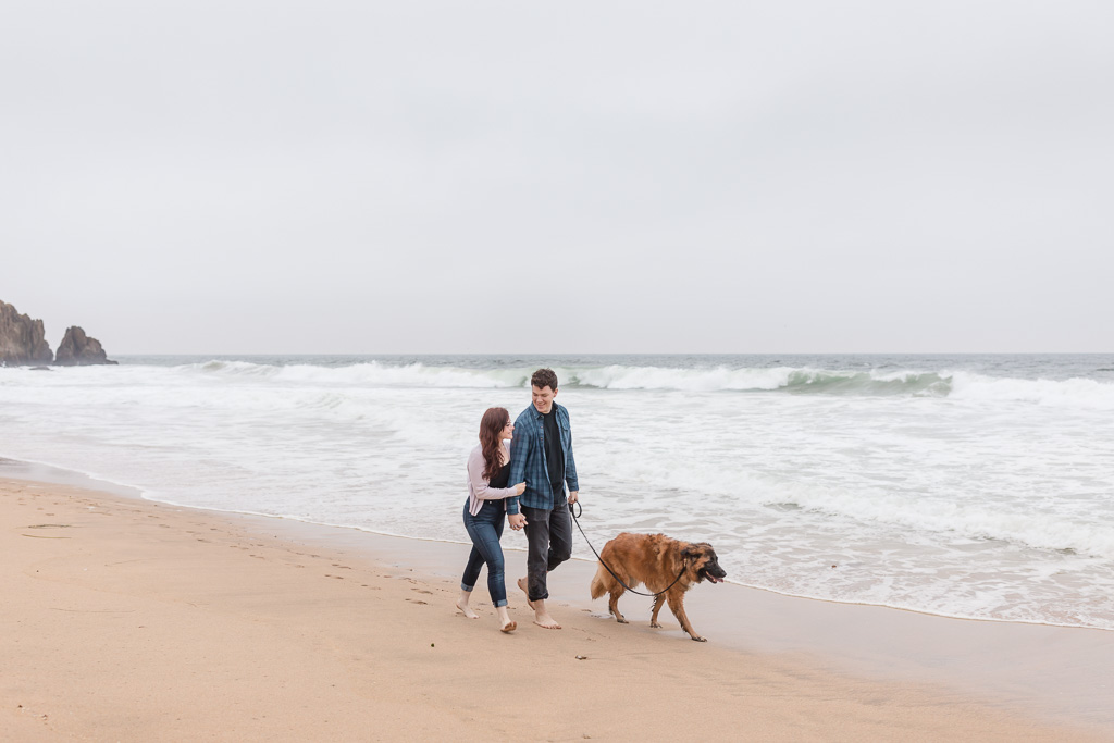 beach engagement photo with dog