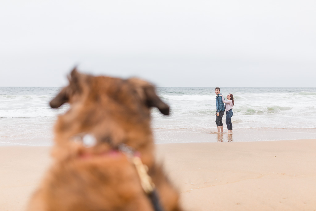 beach engagement photo with beloved dog