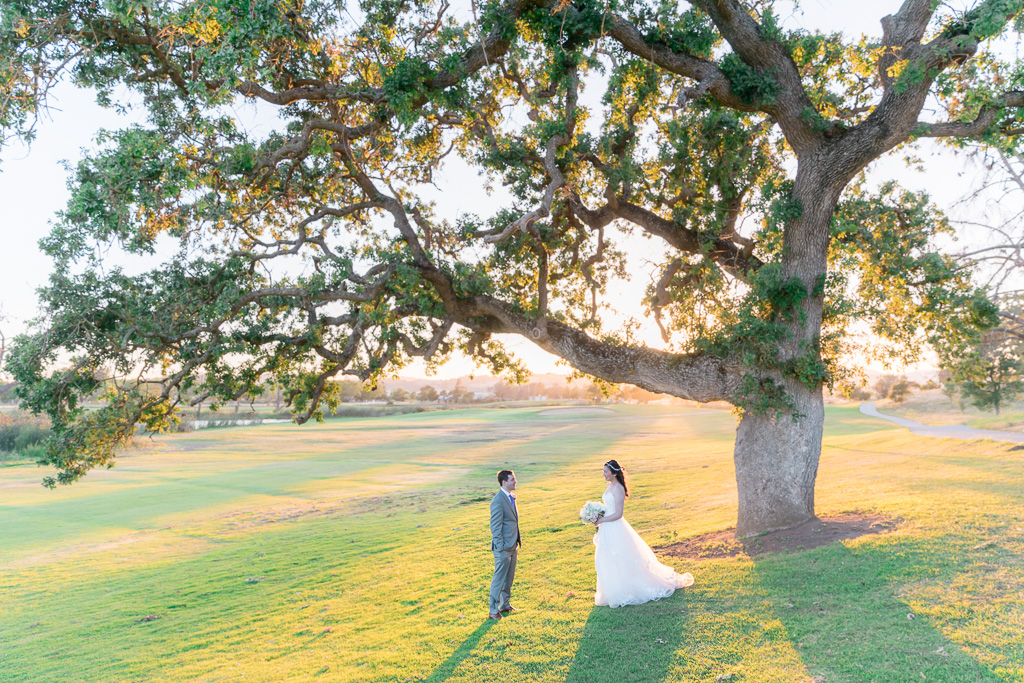 Napa wedding next to a big oak tree with a stunning view