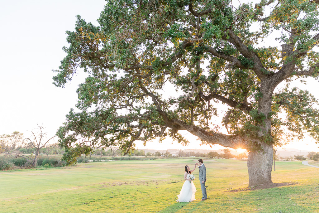 Fairview Napa wedding with the signature oak tree