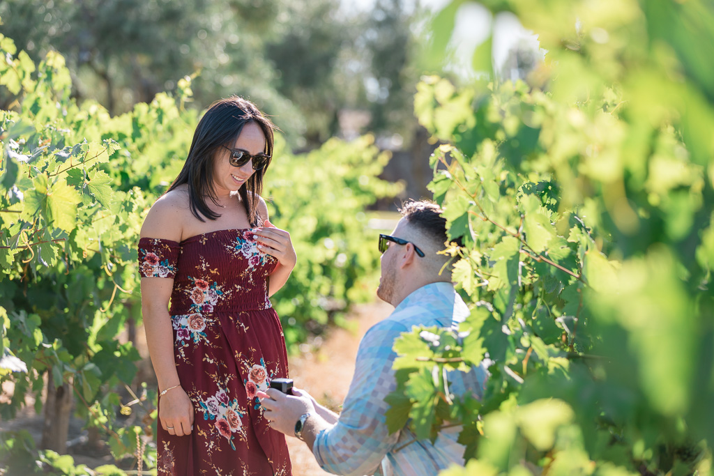 Calistoga surprise engagement inside a vineyard
