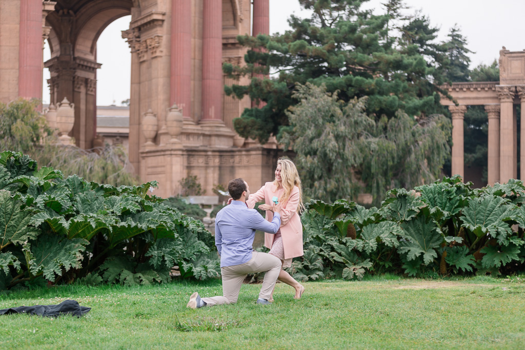 surprise marriage proposal at the palace of fine arts