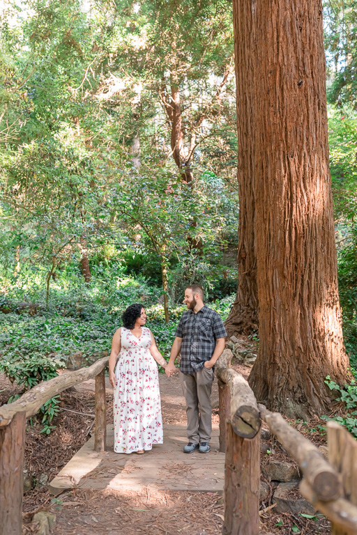 engagement photo on a wooden bridge in the San Francisco redwoods
