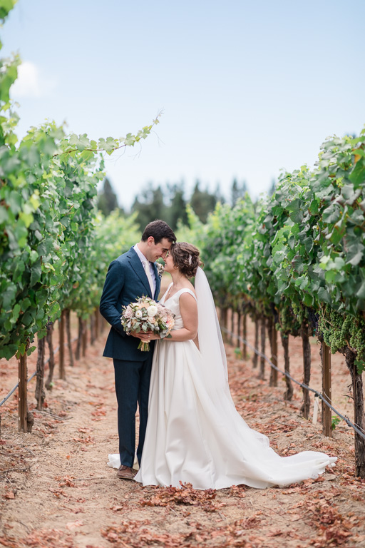 Sonoma Sebastopol wedding portrait in the vineyards