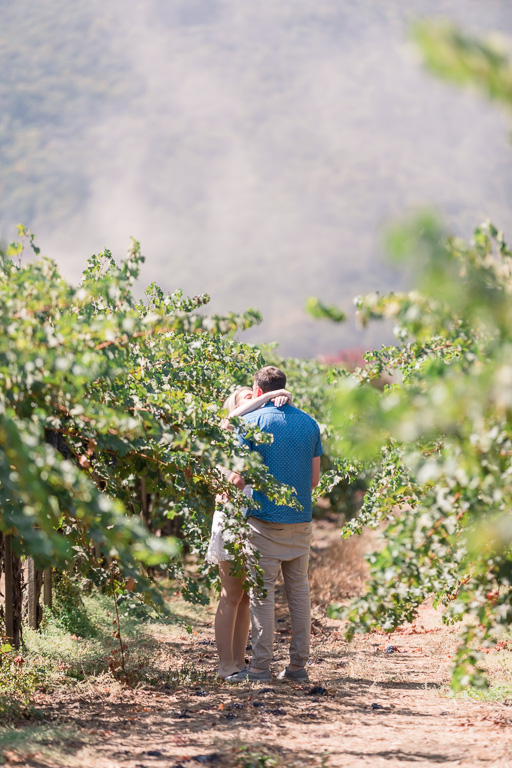 a kiss in the vineyards