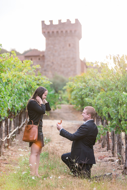 Napa castle winery surprise proposal
