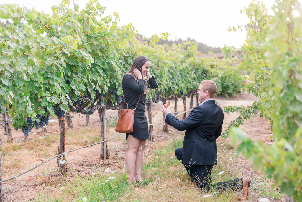 surprise engagement in Napa winery vineyards