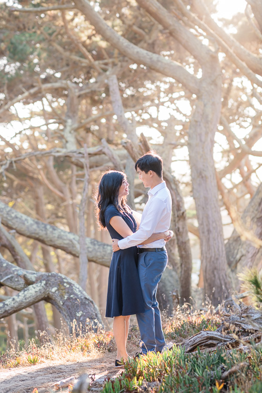 SF engagement in cypress trees
