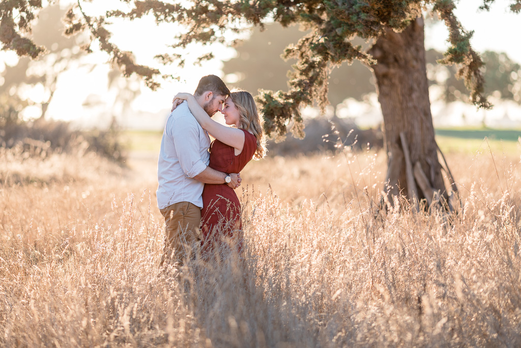 Oakland Alameda engagement photo in the yellow grass during sunset