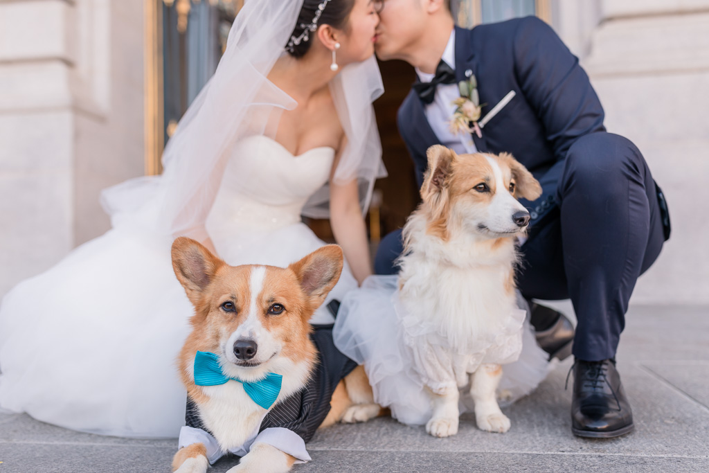 Wally and Ginger the corgis with their parents kissing