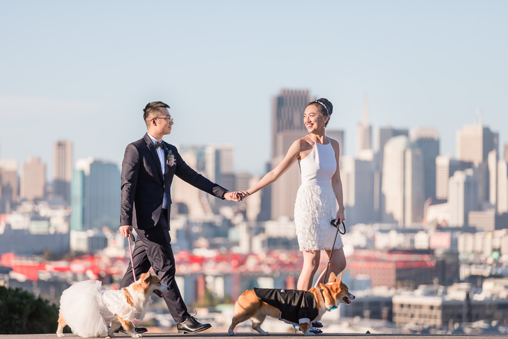 Potrero Hill wedding photo with corgis