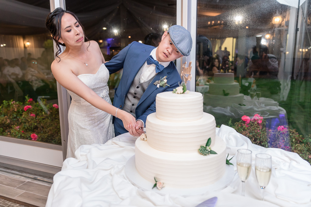 silly wedding cake cutting photo