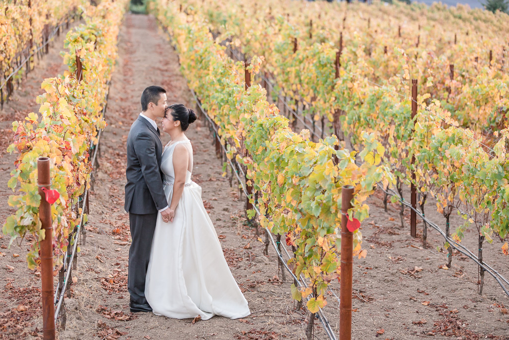 winery wedding photo of couple holding hands