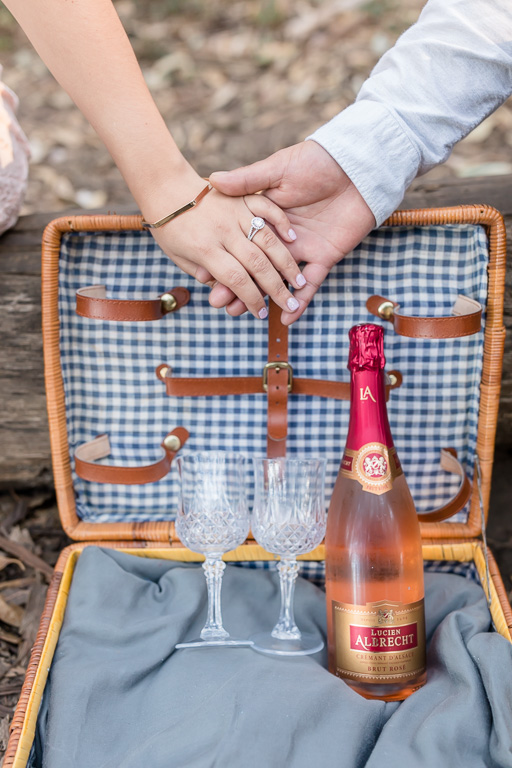 picnic basket with champagne glasses
