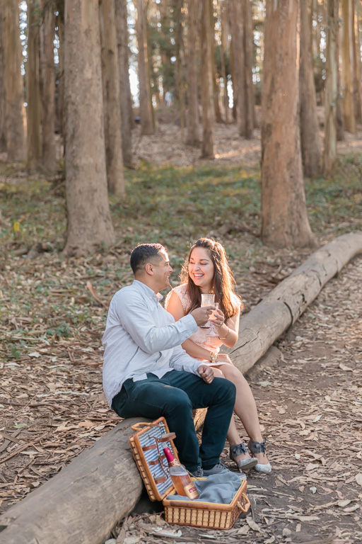 picnic in the woods engagement photos