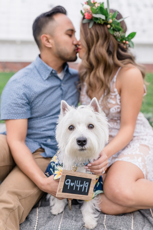 save-the-date photo at golden gate park with puppy